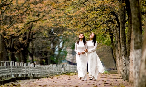 四季を巡るハノイの美しさを描いた歌